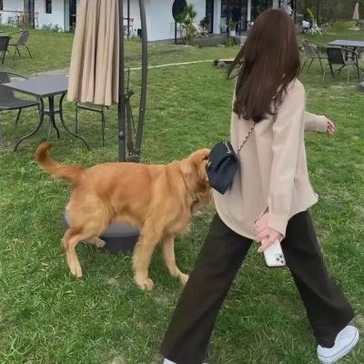 马尾藻海的奇迹